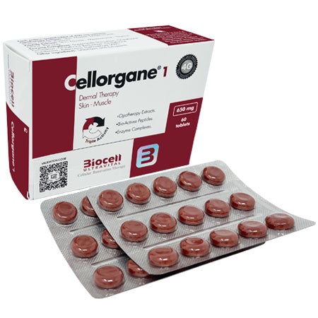 Cellorgane 1 Dermal Therapy. Skin-Muscle