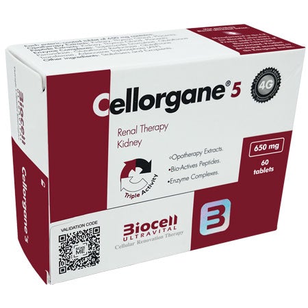 Cellorgane 5 – Reanal Therapy – Kidney Function & Detox Support Formula