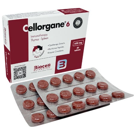 Cellorgane 6 4G – Immunotherapy